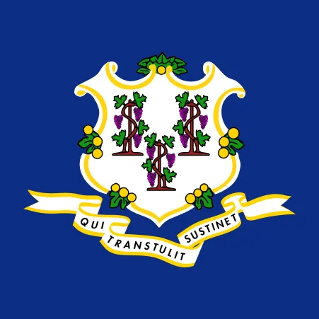 Connecticut flag